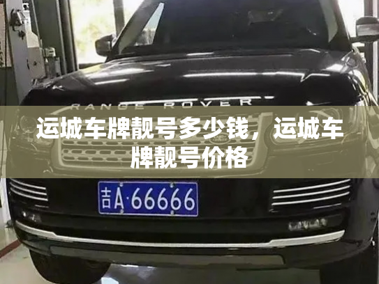 运城车牌靓号多少钱，运城车牌靓号价格-第3张图片-七号汽车选号