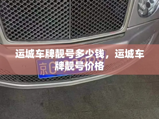 运城车牌靓号多少钱，运城车牌靓号价格-第4张图片-七号汽车选号