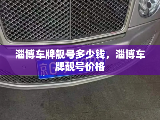 淄博车牌靓号多少钱,淄博车牌靓号价格-第3张图片-七号汽车选号 淄博车牌靓号多少钱,淄博车牌靓号价格-第3张图片-七号汽车选号