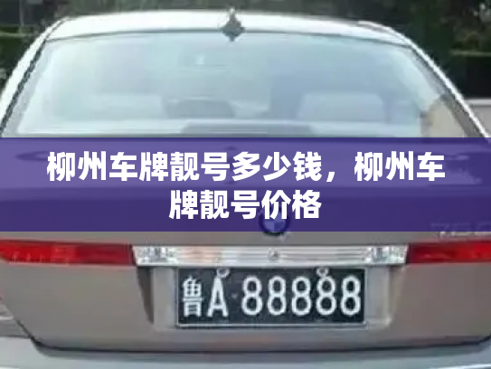 柳州车牌靓号多少钱,柳州车牌靓号价格-第3张图片-七号汽车选号 柳州车牌靓号多少钱,柳州车牌靓号价格-第3张图片-七号汽车选号