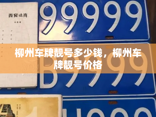 柳州车牌靓号多少钱,柳州车牌靓号价格-第4张图片-七号汽车选号 柳州车牌靓号多少钱,柳州车牌靓号价格-第4张图片-七号汽车选号