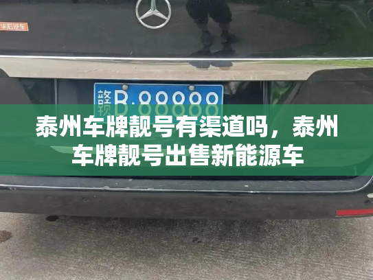 泰州车牌靓号有渠道吗，泰州车牌靓号出售新能源车-第3张图片-七号汽车选号