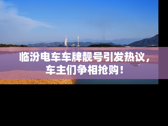 临汾电车车牌靓号引发热议，车主们争相抢购！
