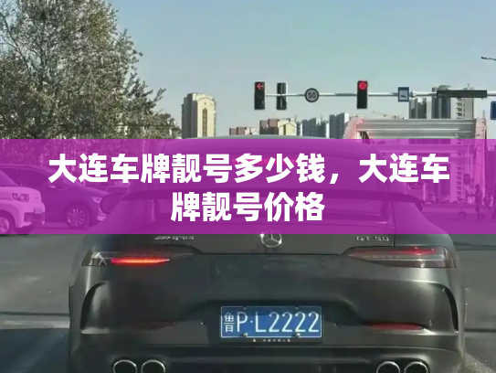 大连车牌靓号多少钱,大连车牌靓号价格-第4张图片-七号汽车选号 大连车牌靓号多少钱,大连车牌靓号价格-第4张图片-七号汽车选号