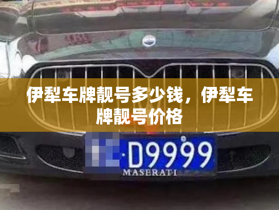 伊犁车牌靓号多少钱，伊犁车牌靓号价格-第3张图片-七号汽车选号