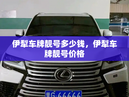 伊犁车牌靓号多少钱，伊犁车牌靓号价格-第4张图片-七号汽车选号