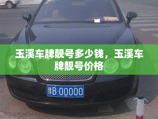 玉溪车牌靓号多少钱，玉溪车牌靓号价格-第2张图片-七号汽车选号