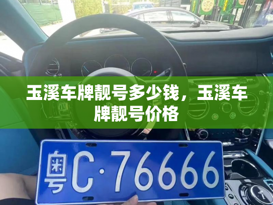 玉溪车牌靓号多少钱，玉溪车牌靓号价格-第3张图片-七号汽车选号