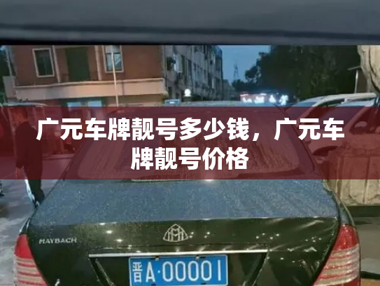 广元车牌靓号多少钱，广元车牌靓号价格-第4张图片-七号汽车选号