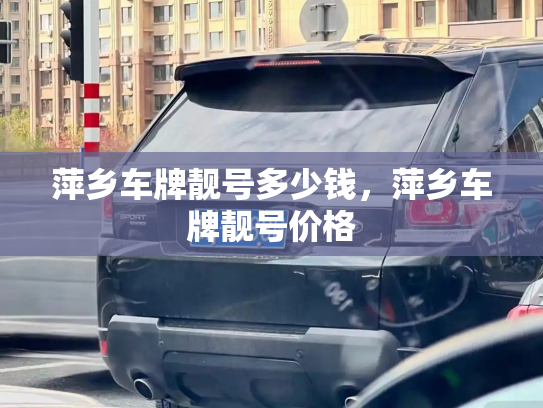 萍乡车牌靓号多少钱，萍乡车牌靓号价格-第4张图片-七号汽车选号