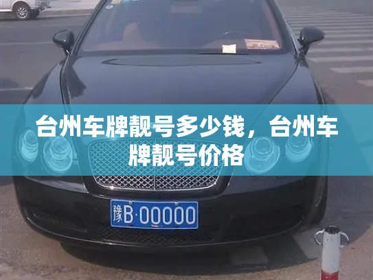 台州车牌靓号多少钱，台州车牌靓号价格-第3张图片-七号汽车选号