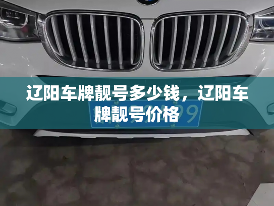 辽阳车牌靓号多少钱,辽阳车牌靓号价格-第4张图片-七号汽车选号 辽阳车牌靓号多少钱,辽阳车牌靓号价格-第4张图片-七号汽车选号