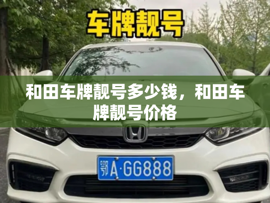 和田车牌靓号多少钱，和田车牌靓号价格-第3张图片-七号汽车选号