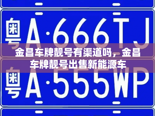 金昌车牌靓号有渠道吗，金昌车牌靓号出售新能源车-第2张图片-七号汽车选号