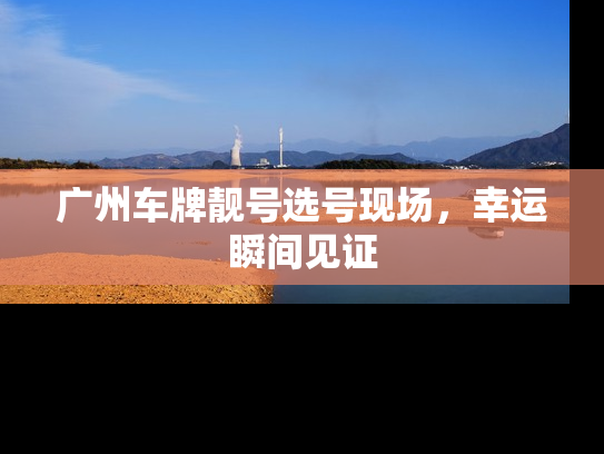 广州车牌靓号选号现场，幸运瞬间见证