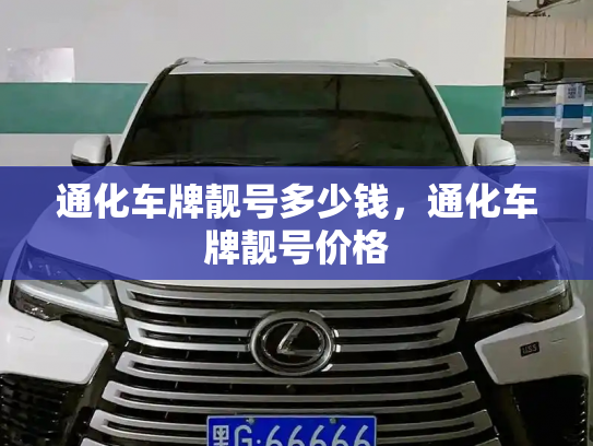 通化车牌靓号多少钱，通化车牌靓号价格-第3张图片-七号汽车选号