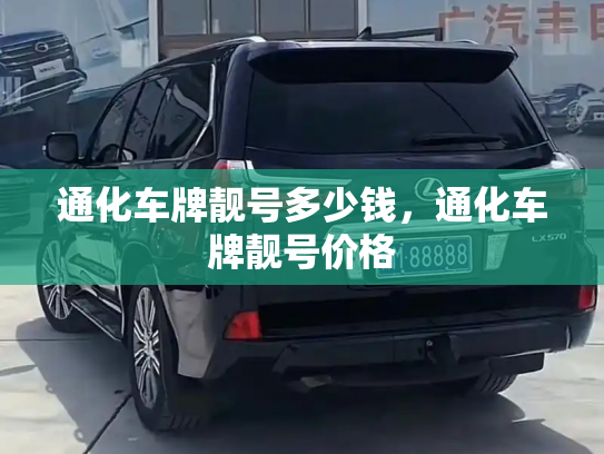 通化车牌靓号多少钱，通化车牌靓号价格-第4张图片-七号汽车选号