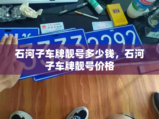 石河子车牌靓号多少钱，石河子车牌靓号价格-第3张图片-七号汽车选号