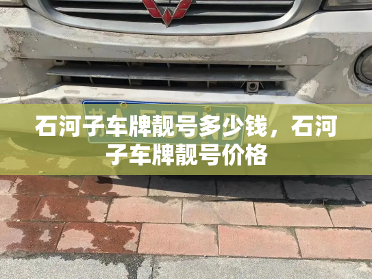 石河子车牌靓号多少钱，石河子车牌靓号价格-第4张图片-七号汽车选号