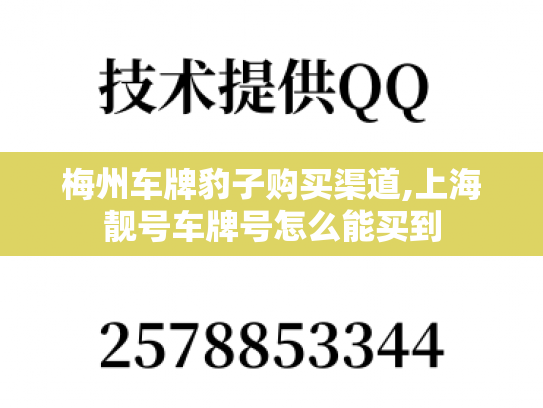 梅州车牌豹子购买渠道,上海靓号车牌号怎么能买到