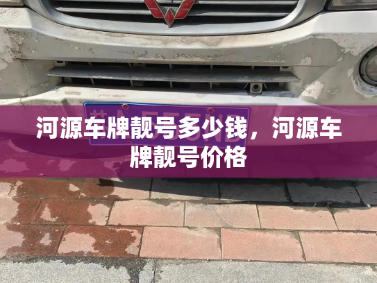 河源车牌靓号多少钱，河源车牌靓号价格-第3张图片-七号汽车选号