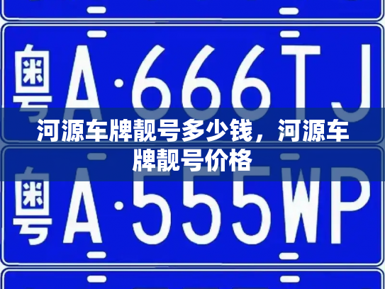 河源车牌靓号多少钱，河源车牌靓号价格-第4张图片-七号汽车选号