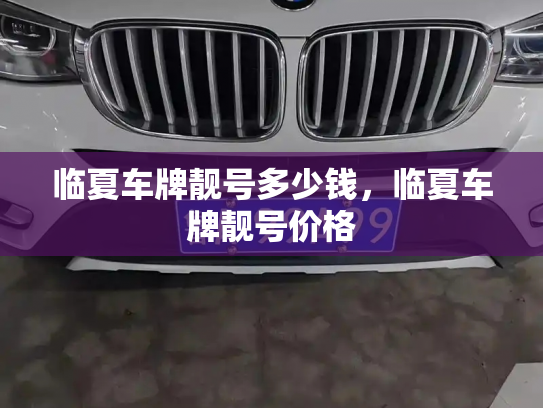 临夏车牌靓号多少钱，临夏车牌靓号价格-第4张图片-七号汽车选号