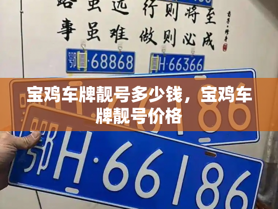 宝鸡车牌靓号多少钱，宝鸡车牌靓号价格-第3张图片-七号汽车选号