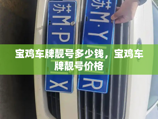 宝鸡车牌靓号多少钱，宝鸡车牌靓号价格-第4张图片-七号汽车选号