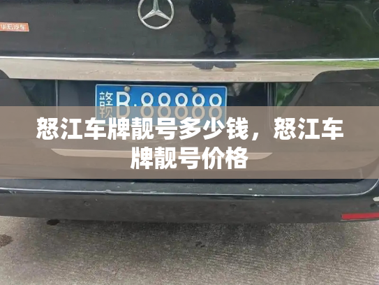 怒江车牌靓号多少钱，怒江车牌靓号价格-第3张图片-七号汽车选号