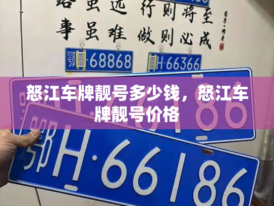 怒江车牌靓号多少钱，怒江车牌靓号价格-第4张图片-七号汽车选号