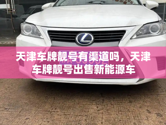 天津车牌靓号有渠道吗，天津车牌靓号出售新能源车-第3张图片-七号汽车选号