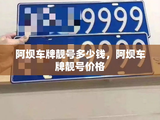 阿坝车牌靓号多少钱，阿坝车牌靓号价格-第3张图片-七号汽车选号