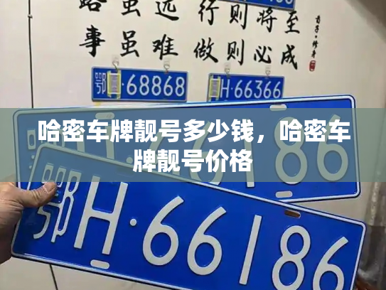 哈密车牌靓号多少钱，哈密车牌靓号价格-第3张图片-七号汽车选号