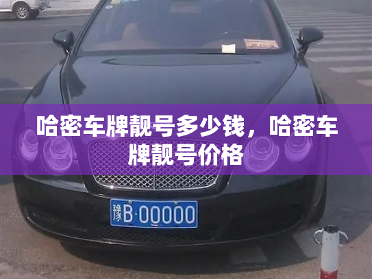 哈密车牌靓号多少钱，哈密车牌靓号价格-第4张图片-七号汽车选号