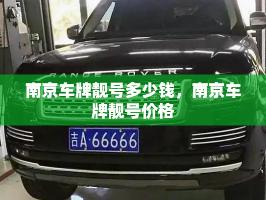 南京车牌靓号多少钱，南京车牌靓号价格-第3张图片-七号汽车选号