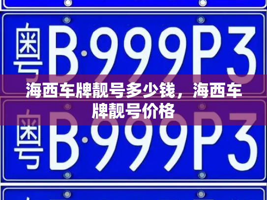 海西车牌靓号多少钱，海西车牌靓号价格-第3张图片-七号汽车选号