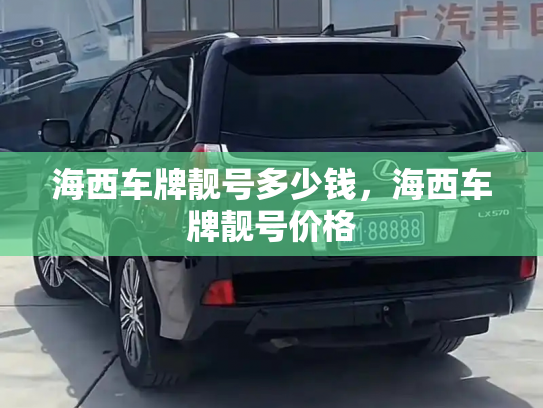 海西车牌靓号多少钱，海西车牌靓号价格-第4张图片-七号汽车选号