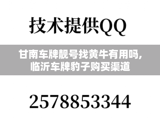 甘南车牌靓号找黄牛有用吗,临沂车牌豹子购买渠道