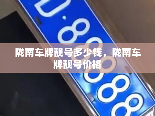 陇南车牌靓号多少钱，陇南车牌靓号价格-第3张图片-七号汽车选号