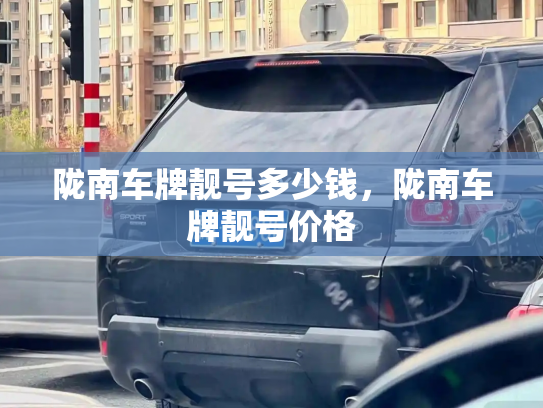 陇南车牌靓号多少钱，陇南车牌靓号价格-第4张图片-七号汽车选号