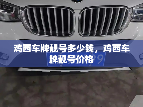 鸡西车牌靓号多少钱，鸡西车牌靓号价格-第2张图片-七号汽车选号