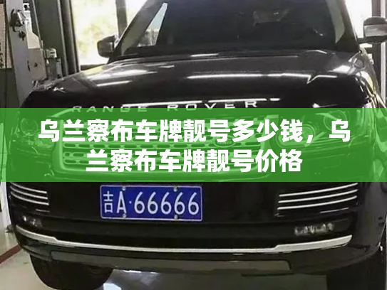 乌兰察布车牌靓号多少钱，乌兰察布车牌靓号价格-第4张图片-七号汽车选号