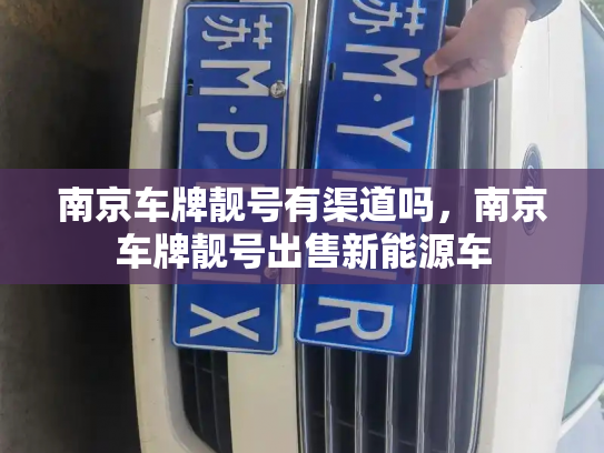 南京车牌靓号有渠道吗,南京车牌靓号出售新能源车-第3张图片-七号汽车选号 南京车牌靓号有渠道吗,南京车牌靓号出售新能源车-第3张图片-七号汽车选号