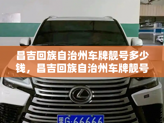 昌吉回族自治州车牌靓号多少钱,昌吉回族自治州车牌靓号价格-第3张图片-七号汽车选号 昌吉回族自治州车牌靓号多少钱,昌吉回族自治州车牌靓号价格-第3张图片-七号汽车选号