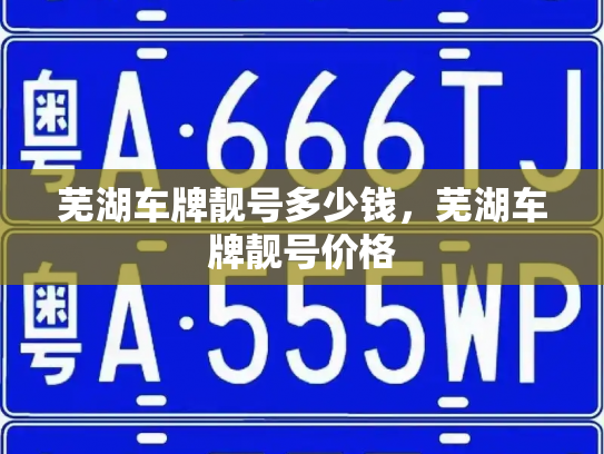 芜湖车牌靓号多少钱,芜湖车牌靓号价格-第3张图片-七号汽车选号 芜湖车牌靓号多少钱,芜湖车牌靓号价格-第3张图片-七号汽车选号