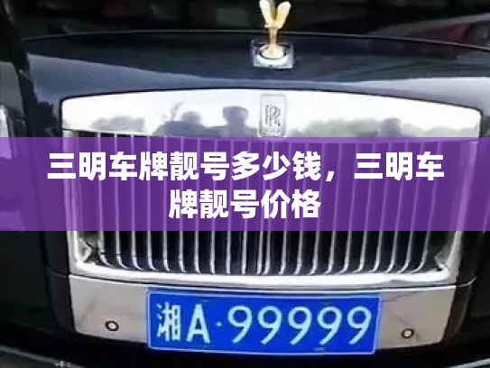 三明车牌靓号多少钱,三明车牌靓号价格-第3张图片-七号汽车选号 三明车牌靓号多少钱,三明车牌靓号价格-第3张图片-七号汽车选号