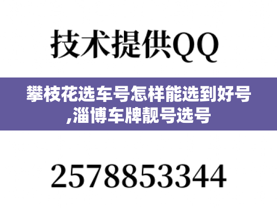 攀枝花选车号怎样能选到好号,淄博车牌靓号选号