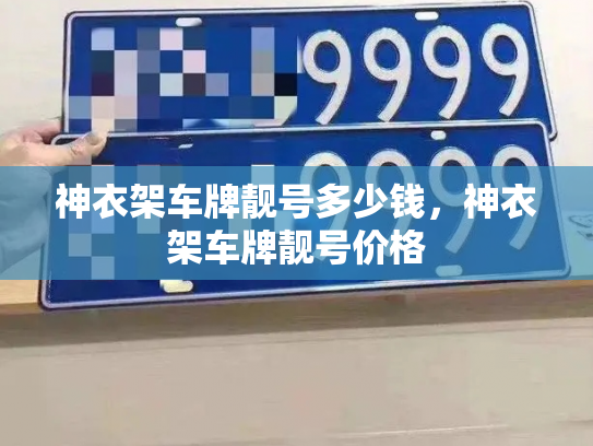 神衣架车牌靓号多少钱，神衣架车牌靓号价格-第4张图片-七号汽车选号