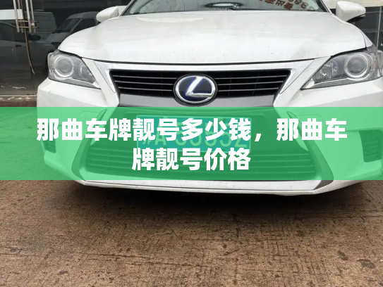 那曲车牌靓号多少钱,那曲车牌靓号价格-第3张图片-七号汽车选号 那曲车牌靓号多少钱,那曲车牌靓号价格-第3张图片-七号汽车选号